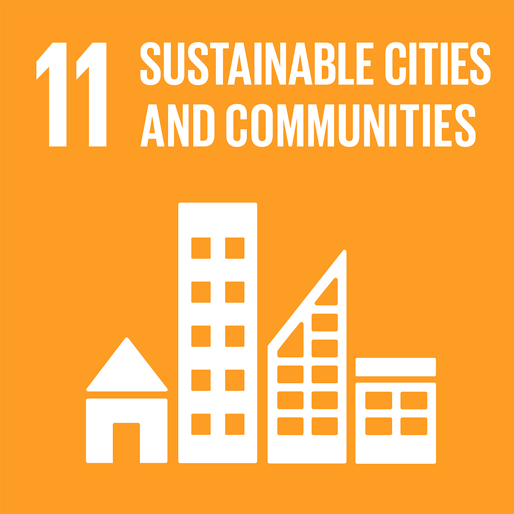 SDG 11 badge