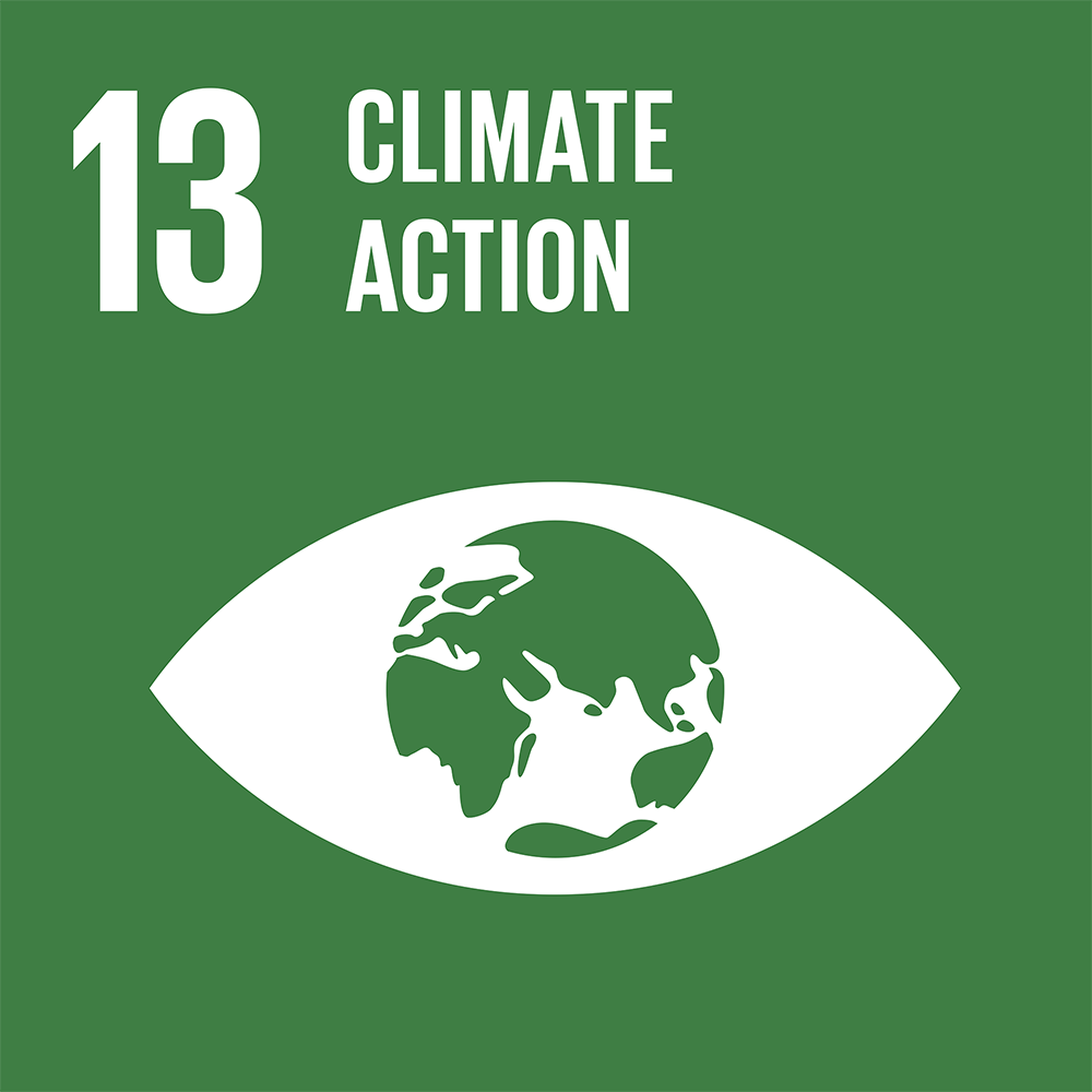 SDG 13 badge
